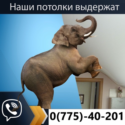 Тирасполь Потолок ПМР - Евро Потолки в Тирасполе